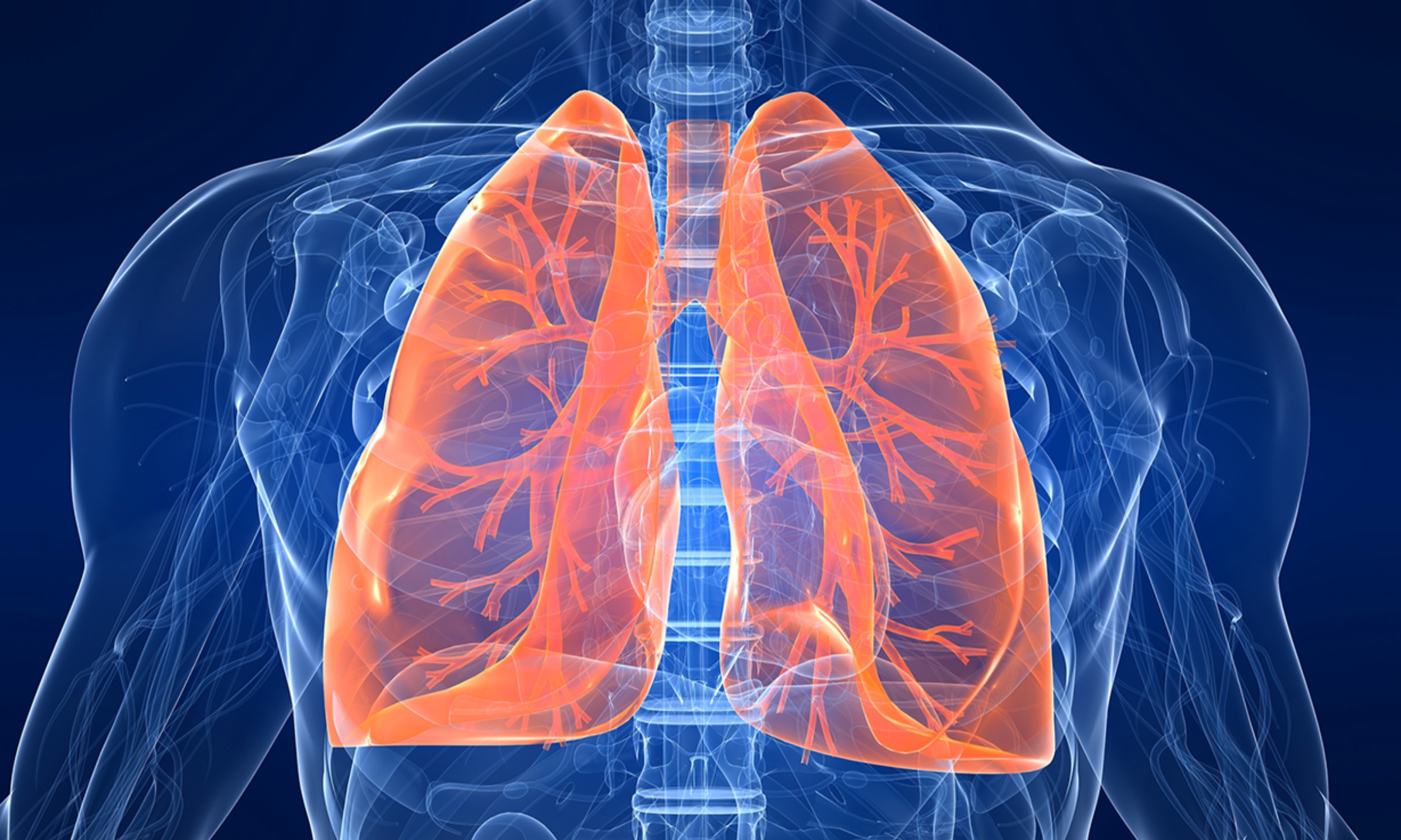 Embolia polmonare quale complicanza della trombosi venosa profonda